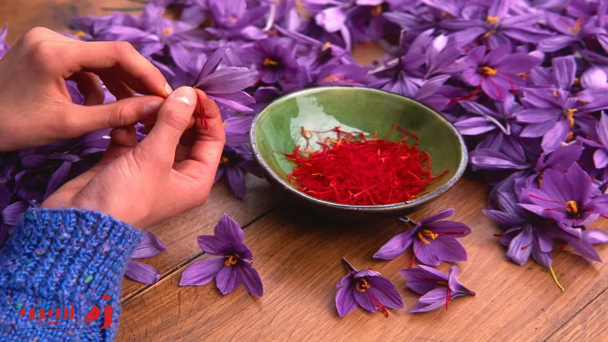 قیمت زعفران با افزایش قیمت ۲۵ درصدی رو‌به‌رو شد