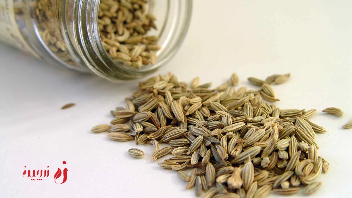 خواص رازیانه چیست؟ چه فوایدی دارد و چرا باید از آن استفاده کنیم؟