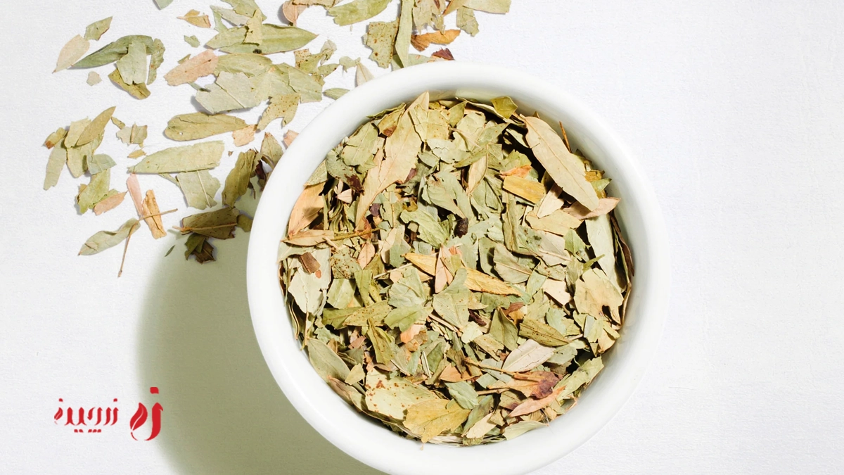 خواص برگ سنا عوارض و نحوه مصرف