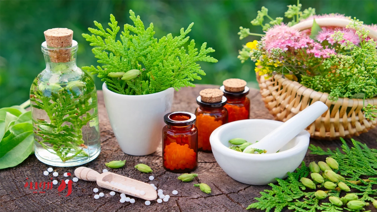 آشنایی با خواص و طبع گیاهان دارویی و کاربرد هر یک