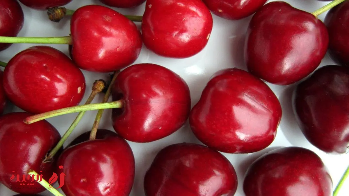 خواص گیلاس برای پوست