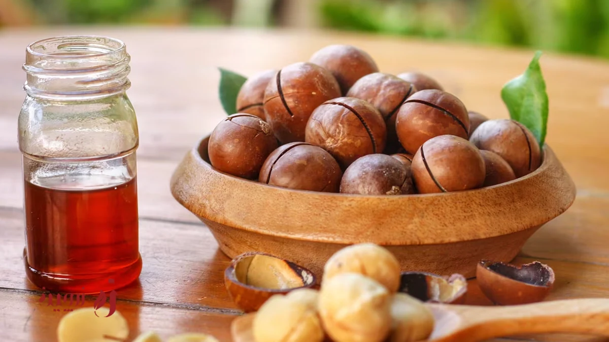 ماکادمیا خام بهتر است یا بوداده؟ تفاوتها در طعم، ارزش غذایی و کاربرد