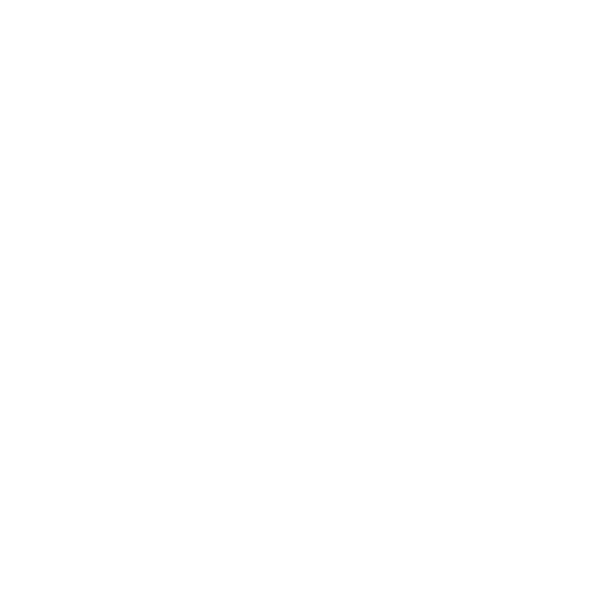 فروشگاه زرچین لوگو