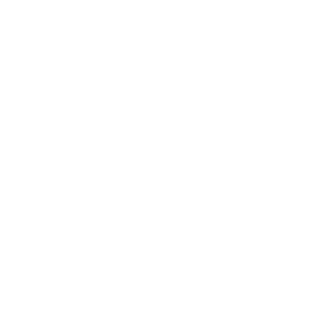 فروشگاه زرچین لوگو