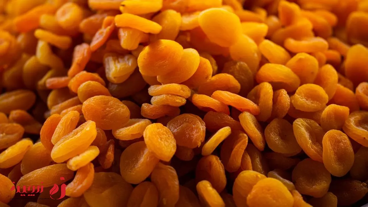خواص قیسی برای گوارش