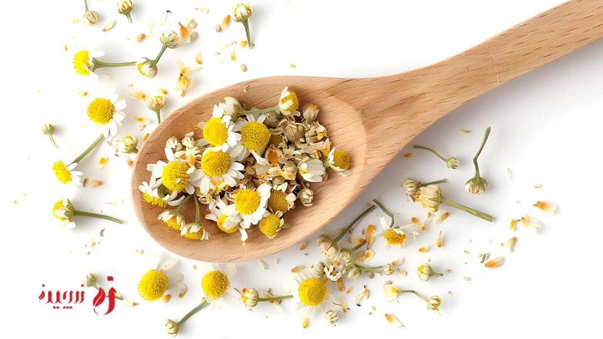 بابونه چیست و چگونه به افزایش وزن کمک میکند؟