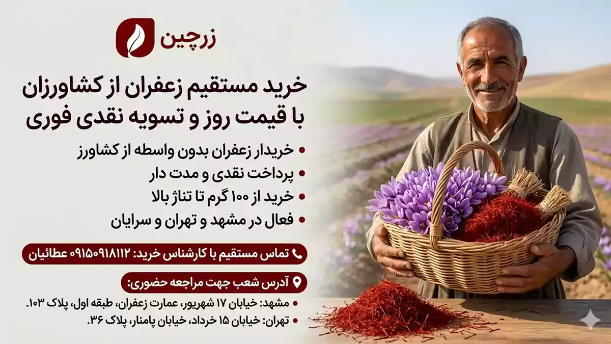 شماره-خریدار-زعفران-از-کشاورز-درمشهد-و-تهران