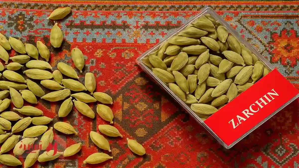 راهنمای کامل انتخاب و خرید هل اصل؛ تشخیص هل تقلبی از اصل