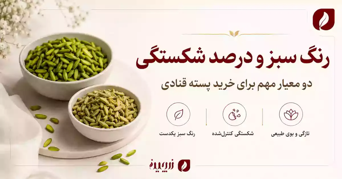 difference-magz-peste-khalal-peste.webp