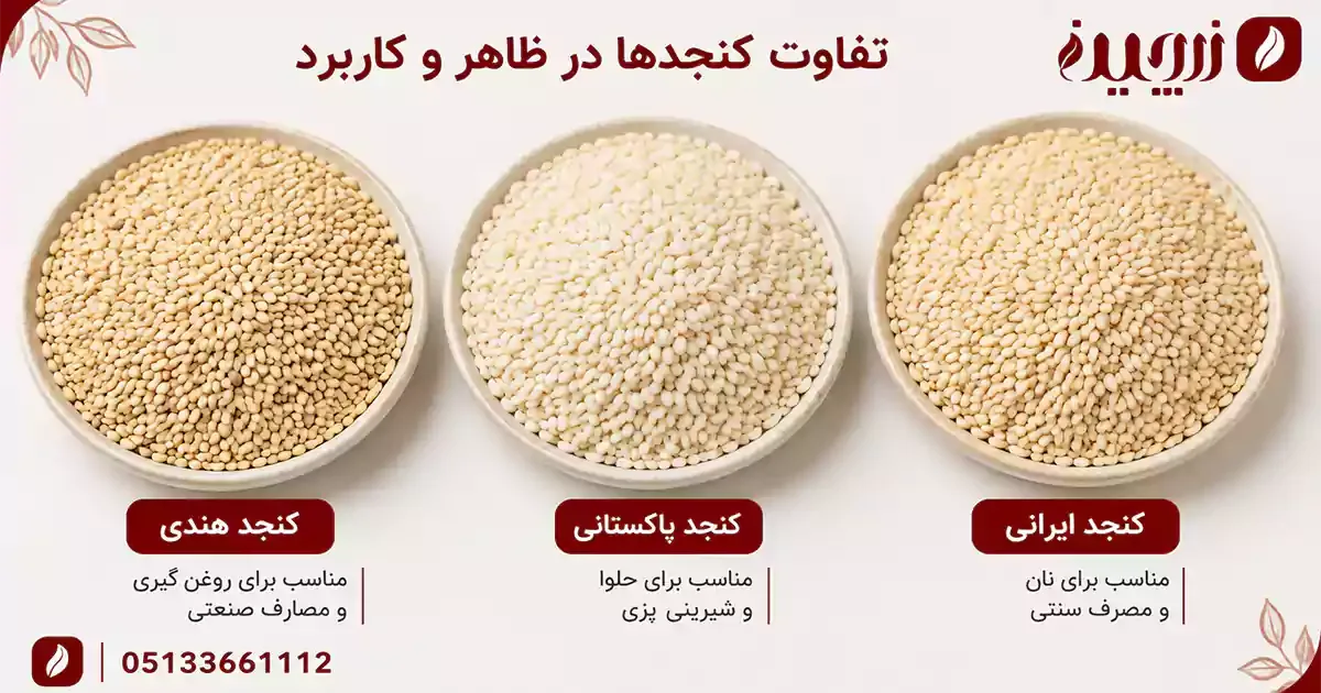 تفاوت ظاهری و کاربرد کنجد هندی، پاکستانی و ایرانی در روغنگیری، حلوا، شیرینیپزی و نان