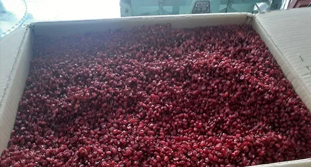 Barberries
