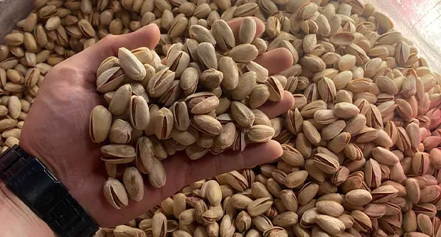 Pistachios