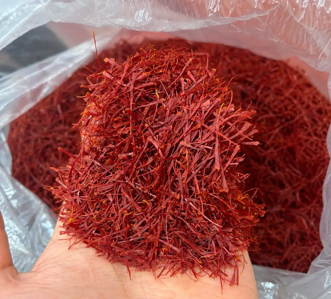 سوپر نگین صادراتی