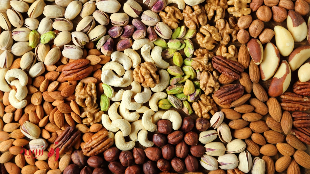 تاریخچه آجیل