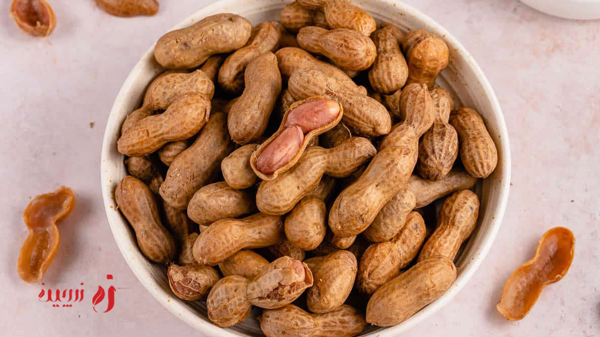 خرید بهترین محصولات مغزیو بادام زمینی از زرچین