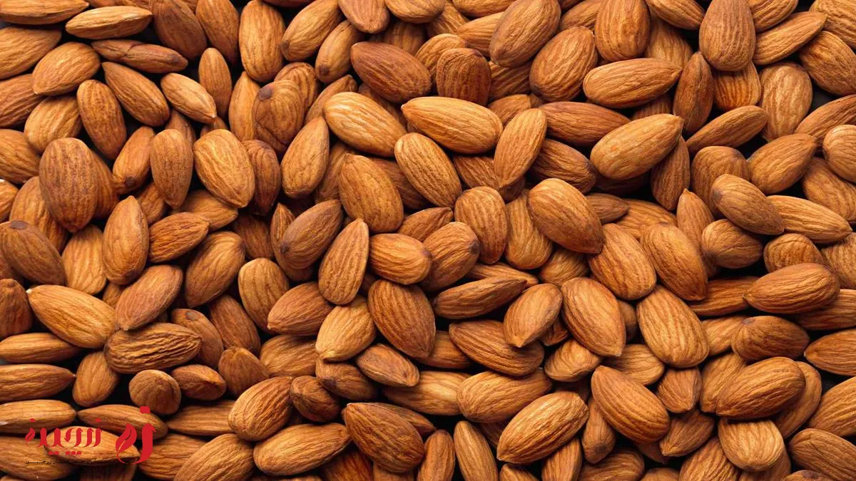 منابع غذایی غنی اط فسفر